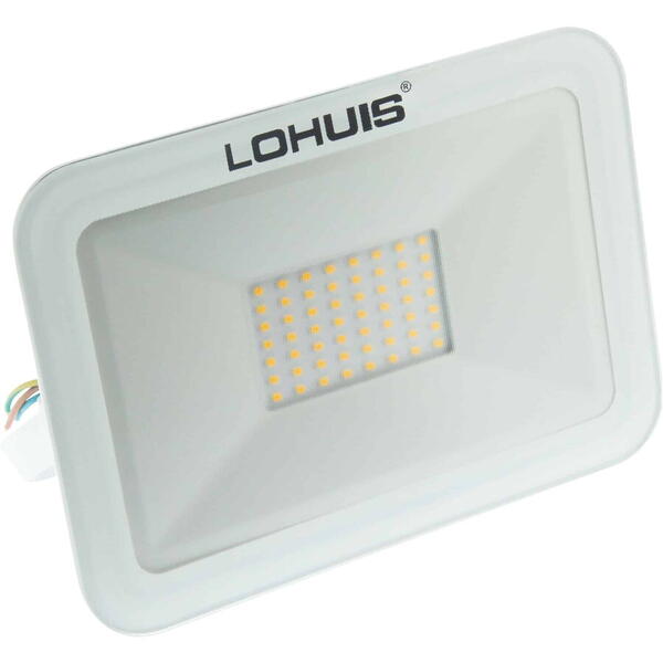 Proiector led mini 50W lumina rece 31927 Lohuis