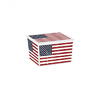 KIS Cutie depozitare american flag cube 27l 8419100-2183