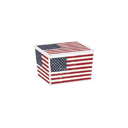 CUTIE DEPOZITARE AMERICAN FLAG CUBE 27L 8419100-2183 PLASTOR