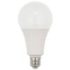 Bec led E27 a80 19W lumina rece 1517290