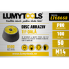 LUMYTOOLS Disc abraziv tip oala 100mm P80 M14 LT08668 Lumy