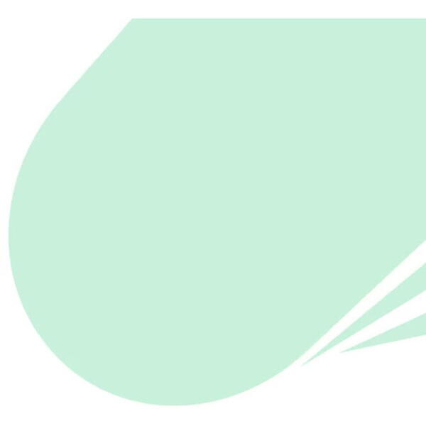 Vopsea colorata menta 8365 8.5l Kober