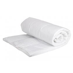 PILOTA  DE VARA DIN MICROFIBRA CU UMPLUTURA DE 200GR/MP 180X200CM PL-1820BR  PERNADOR