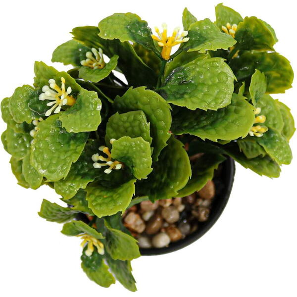 Aranjament floral- flori verzi-green 2063 Ella Home