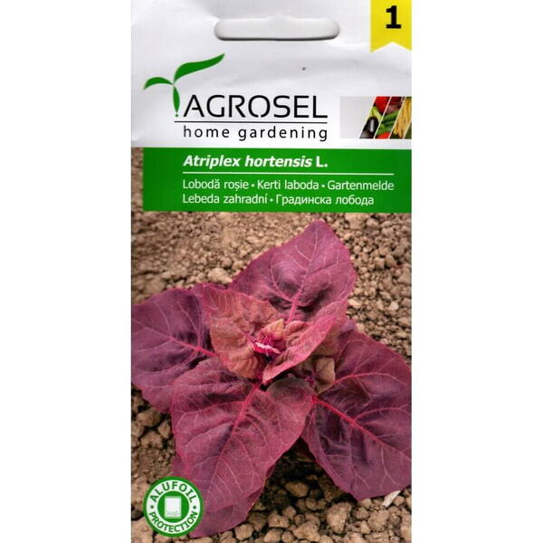 Seminte loboda rosie  pg1 Agrosel