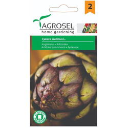 Seminte anghinare pg2 Agrosel