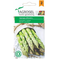 Seminte sparanghel pg2 Agrosel