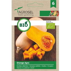 Seminte dovleac placintar orange agro eco pg6 Agrosel