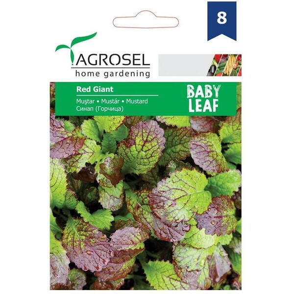 Seminte mustar - baby leaf pg8 Agrosel