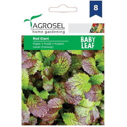 Seminte mustar - baby leaf pg8 Agrosel
