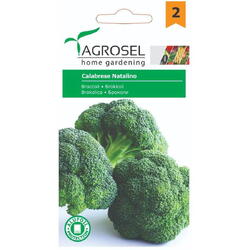 Seminte broccoli calabrese natalino pg2 Agrosel