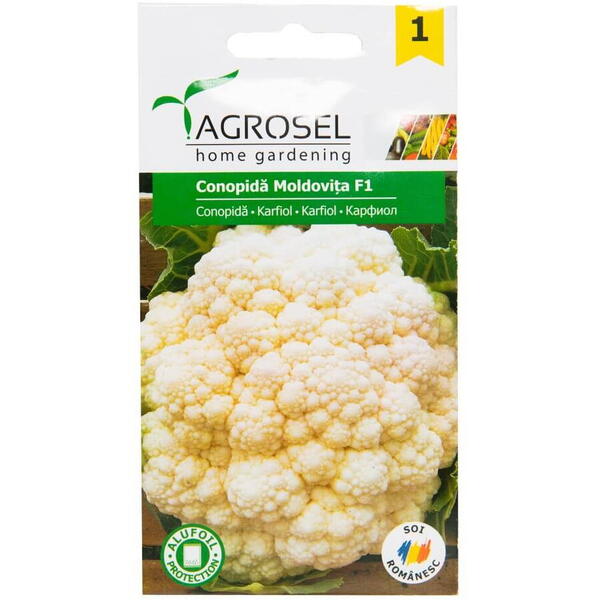 Seminte conopida moldovita f1 pg1 Agrosel