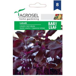Seminte loboda rosie - baby leaf pg8 Agrosel