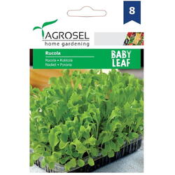 Seminte rucola - baby leaf pg8 Agrosel