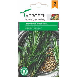 Seminte rozmarin pg2 Agrosel