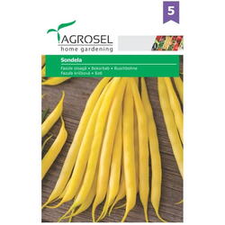 Seminte fasole  oloaga  sondela pg5 Agrosel