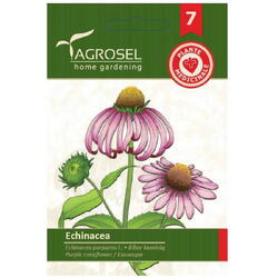 Seminte echinacea pg7 Agrosel
