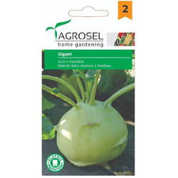 Seminte gulii gigant pg2 Agrosel