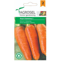 Seminte morcovi royal chantenay 2 pg2 Agrosel