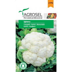 Seminte conopida igloory  pg2 Agrosel