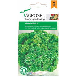 Seminte patrunjel de frunze moss curled 2 pg2 Agrosel