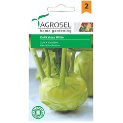 Seminte gulii delikates weisser pg2 Agrosel