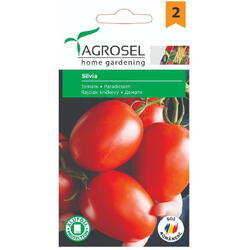 Seminte tomate silvia pg2 Agrosel