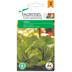 Seminte salata helmut pg2 Agrosel