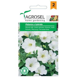 Seminte petunia alb  pg2 Agrosel