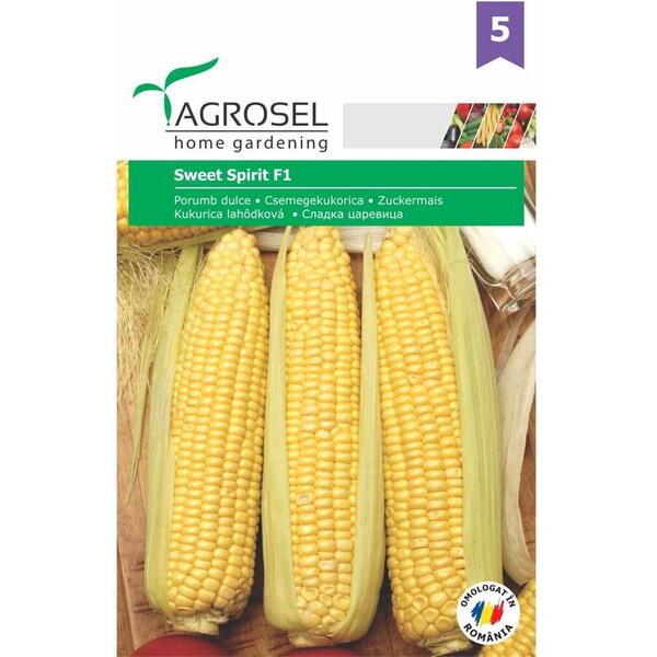 Seminte porumb zaharat glikos f1 pg5 Agrosel