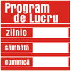 Protek Pictograma indicator program de lucru 20x20cm 803205