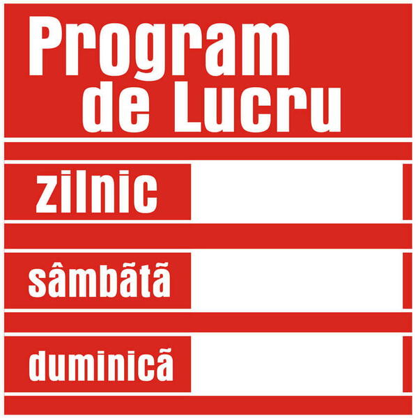 Protek Pictograma indicator program de lucru 20x20cm 803205