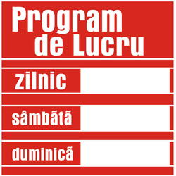 Pictograma indicator program de lucru 20x20cm 803205