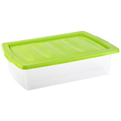 Cutie depozitare cu capac si roti flex 30l 58x39x16 cm P1BO304